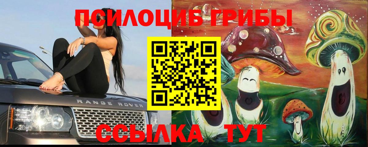 Псилоцибиновые грибы ЛСД Кизляр